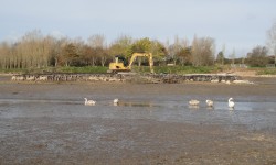 Island from Anderton Road