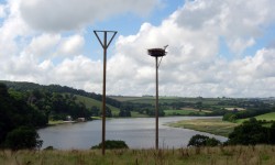 Tamar Estuary Platform 4